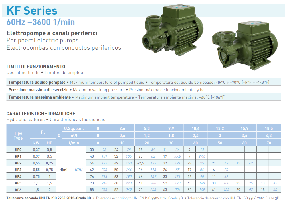 SAER KF4 1 HP peripheral pump
