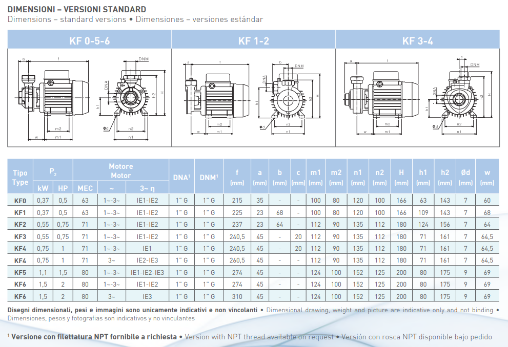 SAER KF4 1 HP peripheral pump