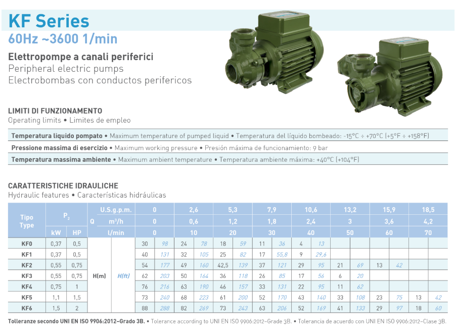 KF2 peripheral pump - SAER - 0.75HP, 110/220V