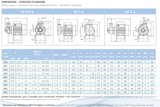 Bomba periférica KF2 - SAER - 0,75HP, 110/220V