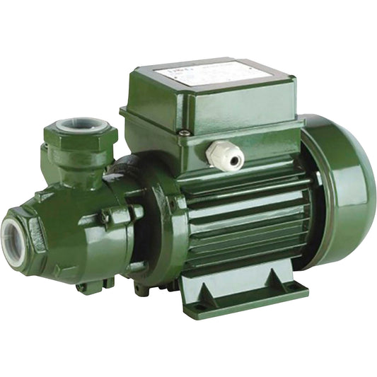 SAER KF4 1 HP peripheral pump