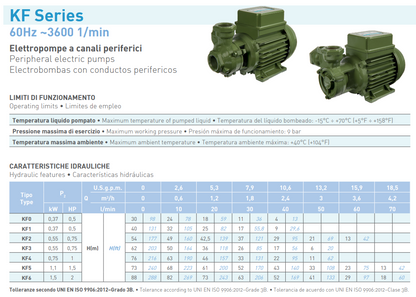 SAER KF4 1 HP peripheral pump