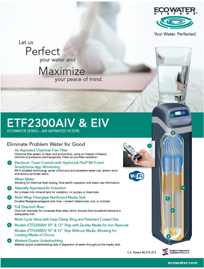 ECOWATER Sediment and Iron Filter - ETF2300AIV12