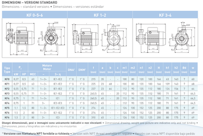 SAER KF1 peripheral pump, 0.5HP, 110/220V